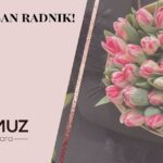 Prnjavor domaćin turnira za mlade rukometaše Prilog TV K3