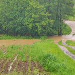 Ovo se ne viđa svaki dan! Bujični potok Kremna – Rudonjića brdo VIDEO