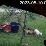 Rekordan broj razvoda brakova u Republici Srpskoj u 2022. godini, Prnjavor zabilježio 53 slučaja