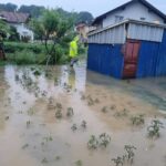 Prnjavor: U toku prijem zahtjeva za podsticaje u poljoprivredi