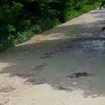 Otvaranje stečajnog postupka nad “Kompanija Dušanić” d.o.o. Prnjavor – Poziv povjeriocima da prijave potraživanja