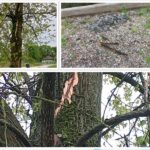 Korisnici vodovoda “Duboka dolina” nezadovoljni kvalitetom vode koju dobivaju VIDEO