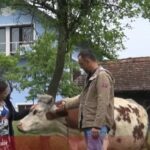 Javni poziv za poboljšanje adaptacije na klimatske promjene u primarnoj poljoprivrednoj proizvodnji, projekta Eu4agri – recovery