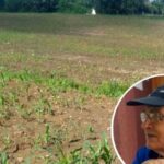 Двострука промоција албума Асима Сарвана:  “60s у мом граду” и “Камен по камен”