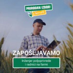 Djeca s Kosmeta posjetili crkvu u Slatini (FOTO