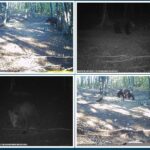 Omladinski centar Prnjavor Prilog BHRT