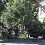 Radnici KP “Park” uklonili grane sa nadgrobnih spomenika FOTO