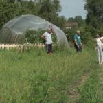 Ekipe izašle na teren u više gradova: Sanirana većina kvarova na srednjonaponskoj mreži nakon oluje