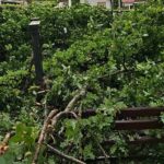 Zbog nestanka električne energije na izvorištu i primarnom rezervoaru Matića brdo, došlo do prekida u snabdijevanju vodom svih potrošača na gradskom vodovodu