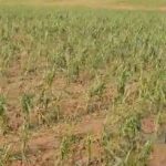 Grad Prnjavor za ugostiteljske usluge za Krsnu slavu Grada Prnjavora daje 10 000 KM bez PDV-a