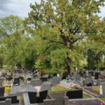 Nevrijeme napravilo veliku štetu na spomenicima u Gradskom groblju VIDEO + FOTO