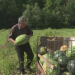 Teška saobraćajna nesreća u Štrpcima dvoje mrtvih dijete teško povređeno