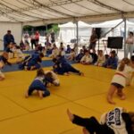 Tomaš: Svaka odluka koja nije proizvod dogovora političkih subjekata nije dobra