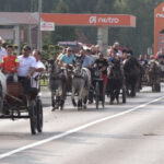 Bliži se sezona zimnice. Praviće se samo onoliko koliko mora! – Zemlja izvor života