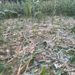 Treće mjesto za ekipu „3×3 Prnjavor“ na turniru Nikšićko pivo 3×3 RS