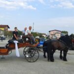 Jelena Gajić šampionka Gradiške