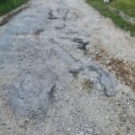 KP Park Prnjavor: Počinje prijem zahtjeva za zakup parcela na prnjavorskom vašeru