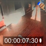 СПКД “Просвјета” – концерт у Чорлама