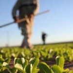 Raspisan Javni poziv za dodjelu podsticaja za mala i srednja preduzeća