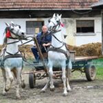 MEKTIĆ OSUĐEN ZA KLEVETU Mora platiti Čamparama 3.000 KM, a evo zbog čega