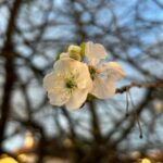 Православна радионица “Наша будућност” организује сусрете дјеце и омладине под називом “Стазама Православља”