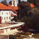 Veterinarska stanica Prnjavor proslavila svetog Luku slavu veterinara (FOTO)