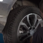 Kompanija “Rapić” započela sa intenzivnim aktivnostima u pravcu uspostavljanja nove poslovne jedinice “Revita Farms” u Prnjavoru