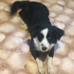 RAZGOVOR S POVODOM Dragana Ignjatić o radu SPKD Prosvjeta u ovoj i planovima za narednu godinu