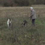 Sjednica LU “Borik” Prnjavor: O lovnoj sezoni, afričkoj kugi (Zemlja izvor života) VIDEO