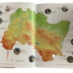 Nestao pas u Prnjavoru, pronalazaču slijedi nagrada (FOTO, VIDEO)