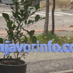 Javna rasprava o budžetu. Tomaš: U 2024. godini očekujemo velike investicije Prilog TV K3