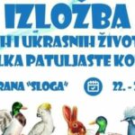 MK “Prnjavor 07” uplatio obuku za vozački ispit majci 6 djevojčica