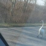 Prnjavorska “Prosvjeta” za kraj godine publiku obradovala novom predstavom “Mene niko ne voli” Prilog TV K3