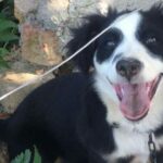 Prnjavorčanin lišen slobode zbog narušavanja javnog reda i mira