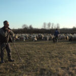 Vozaču zbog kojeg je stradala porodica Dević tri godine zatvora