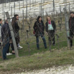 “Razgovor s povodom” naš sagovornik je tekvondoista David Stanišić