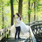 Lavovi bronzani na Prevnstvu Regije