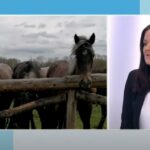 Program “Romakted dva”: Tomaš obišao dvije asfaltirane ulice u naselju Doline (FOTO)