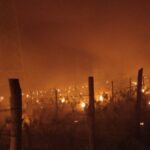 20. Atletski miting “Šentjur 2024.”