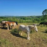 Veliki petak u Prnjavoru: Bogosluženjem i iznošenjem Plaštanice vjernici se poklonili Hristovom stradanju (FOTO VIDEO)