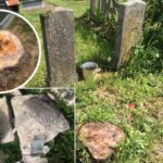 Poljoprivrednici posjetili 91. Međunarodni poljoprivredni sajam u Novom Sadu