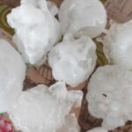 Jovana Radulović vicešampion BiH