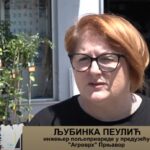 Prnjavorski rukometaši pobjedili slavni Zagreb i osvojili turnir