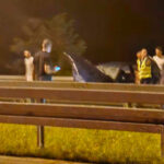 Visoke temperature ugrožavaju i biljni i životinjski svijet u rijekama