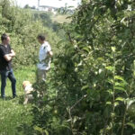 КP “Vodovod” Prnjavor: Prekid vodosnabdijevanja u Slatini 15. jula