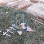 Druženje ratnih vojnih invalida na jezeru Drenova: Održan 17. kup u sportskom ribolovu – Prilog TV K3