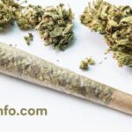 Koncert horova Muzičke škole “Konstantin Babić” sa gostima (FOTO)