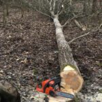 Misterija pronađenih krstova u Prnjavoru  Prilog TV K3