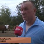 Predavanje za roditelje na temu pravilna ishrana u dječijoj dobi Prilog TV K3