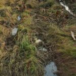 Za radove na sanaciji Društvenog doma u Štrpcima 200 000 KM bez PDV-a